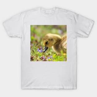 Cute Baby Goose in the Field T-Shirt